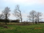 SturmschadenIMG_8261.JPG SturmschadenIMG_8261.JPG