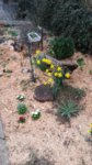 20170323_163828.jpg 20170323_163828.jpg