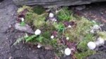 20170323_163456.jpg 20170323_163456.jpg