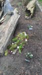 20170323_163714.jpg 20170323_163714.jpg