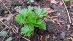 20170323_163516.jpg 20170323_163516.jpg