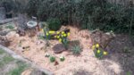 20170323_163846.jpg 20170323_163846.jpg