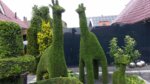 20160715_164217.jpg 20160715_164217.jpg