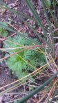 20170405_192427.jpg 20170405_192427.jpg