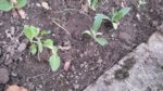 20170405_192031.jpg 20170405_192031.jpg