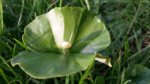 20170404_182748.jpg 20170404_182748.jpg