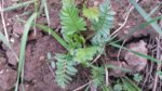 20170404_180533.jpg 20170404_180533.jpg