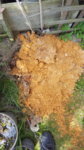 20170427_144512.jpg 20170427_144512.jpg
