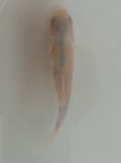 UNADJUSTEDNONRAW_thumb_61f.jpg