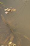 CK050163.jpg