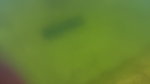 20170517_084317.jpg