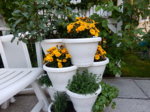 DSCN4078.JPG