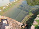 IMG_1782.JPG IMG_1782.JPG