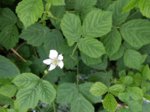 IMG_20170525_1132319.jpg
