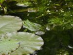 K1024_DSC07846.JPG K1024_DSC07846.JPG