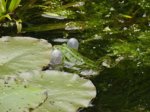 K1024_DSC07845.JPG K1024_DSC07845.JPG