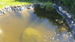 20170527_155734.jpg 20170527_155734.jpg