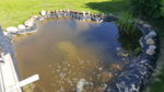 20170527_155747.jpg 20170527_155747.jpg