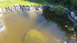 20170527_155754.jpg 20170527_155754.jpg