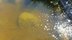 20170527_155756.jpg 20170527_155756.jpg