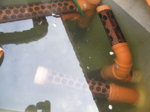 DSCF6731.JPG