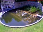 Cam1_2017052611363401.jpg Cam1_2017052611363401.jpg