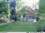 PICT0062.JPG