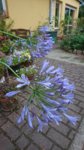 DSC_0416.JPG DSC_0416.JPG