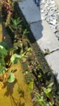 20170604_092218.jpg 20170604_092218.jpg