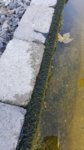 20170604_092240.jpg 20170604_092240.jpg