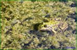 IMG_20170604-1.jpg