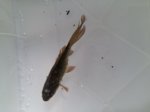 20170605_094309.jpg 20170605_094309.jpg