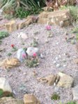 2017-06-03 327.jpg 2017-06-03 327.jpg