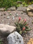 2017-06-03 349.jpg 2017-06-03 349.jpg