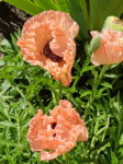 20170527_090227.jpg