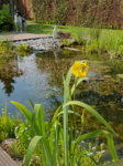 20170529_165834.jpg
