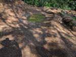 IMG_20170610_170532.jpg