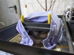 Fips IMG_0058.JPG