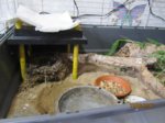 Fridolin IMG_0059.JPG