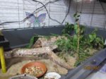Fridolin IMG_0060.JPG