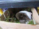Fips IMG_0094.JPG