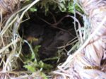 Fips IMG_0273.JPG
