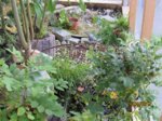 Herzi Suchbild IMG_0348.JPG