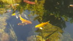 20170615_093105.jpg 20170615_093105.jpg