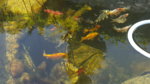 20170615_093058.jpg 20170615_093058.jpg
