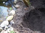 100_2757.JPG 100_2757.JPG
