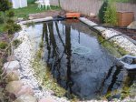 teich5.jpg teich5.jpg