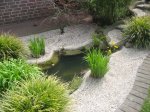 IMG_2118.JPG