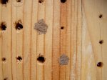 Insektenhotel 2.jpg