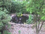 DSC00039.JPG